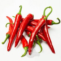 모닝고추 햇고추 아삭고추 땡초 홍고추 박스 특품 10kg 풋고추 청고추 내외 매운고추, 단품, 단품