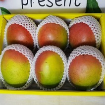 [A521 애플망고 선물세트