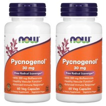 나우푸드 피크노 제놀 30mg 60캡슐 2병 고약사 호팍사 해송 프렌치 마리타임 파인바크