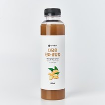 이제부터 다담은 진짜 생강청 600ml, 2병