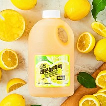 흥국F&B 레몬농축액 플러스 1.5L, 아이스박스