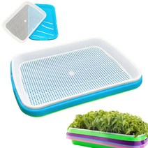 가정용 새싹 수경 재배기 보리씨앗 식물 키우기 기르기