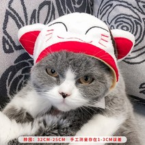 고양이 모자 귀여운 사자탈 애완동물 생일모자 장식 강아지 옷, 행운의 고양이