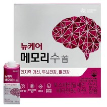 뉴케어 메모리수 160ml (20팩), 20개