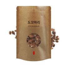 관찰과 발명 식물의 구조 도꼬마리 10인 수업용
