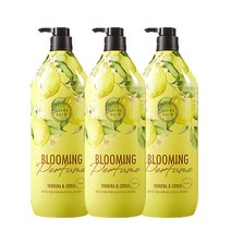 해피바스 블루밍 퍼퓸 버베나&시트러스 바디워시 1200ml, 3개