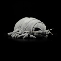 특이한 인형 바다 쥐며느리 오사카 카이유칸, gray