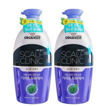 LG생활건강 오가니스트 스칼프RX클리닉 가려운두피케어샴푸 750ml, 2개