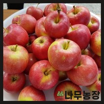 (나무농장) 미니사과(오토매) R4 분