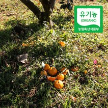 유기농 감귤 제주 서귀포풀어놓고 키우는 10k