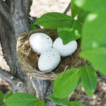둥지안에 새알 모형 둥지 모형 8~9cm 새집 인테리어소품 버드하우스