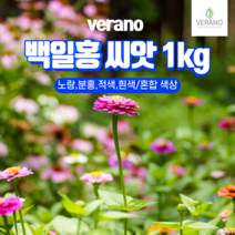 [조이가든] 백일홍 씨앗- 1kg, 1개