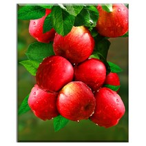 FASEN DIY 보석십자수 캔버스 형액자 세트 40 x 50cm, 40*50 cm, K007 빨간사과