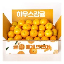 제주직송 올탑농원 하우스 감귤 4.5kg 소과