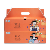 푸릇담 젊은농부 도라지배즙 60포, 100ml, 60개