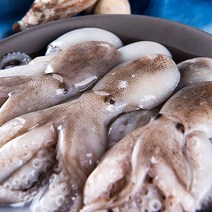 서천에서 직접잡은 자연산 주꾸미 1kg (생물 / 15~20미 내외 )