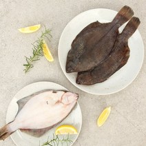 [바다담음] 통영 도다리(냉동) 1kg / 손질 후 700g내외(2~5미), 1개