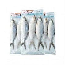 밀크피쉬 1kg 냉동, 1개