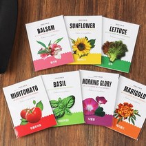 1종 씨앗봉투/화분키우기 씨앗심기, 해바라기