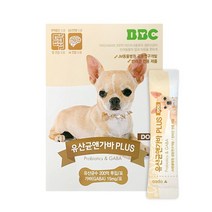 강아지 유산균앤 가바 장 영양제 프로바이오틱스 1개월 30포 2g, 없음