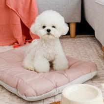 아망떼 펫 털 안붙는 알러지케어 애견방석M / L, M시티그레이