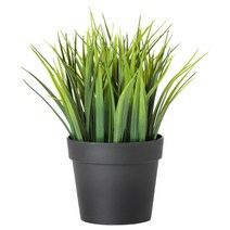 이케아 페이카인조식물 실내외겸용 풀9cm /조화