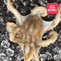 [당일조업] 제철 서해안 태안 알배기 알 쭈꾸미 급냉 활 주꾸미 1kg, 1개, 가을 주꾸미 1kg(8-15미) 얼음포장