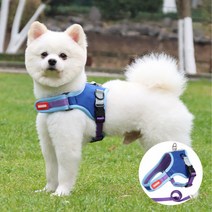 썬피크 강아지 앞섬방지 슬개골탈구방지 L형 하네스 세트, 블루