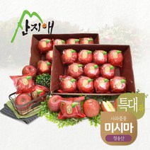 [산지애] 사과 특대과 4kg+4kg, 단품