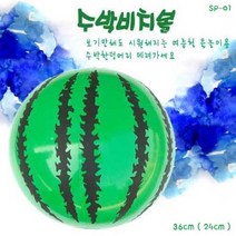 대 수박비치볼