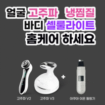 에어굿즈 가정용 고주파 갈바닉 LED테라피 저주파 마사지기, CARE 2 SET