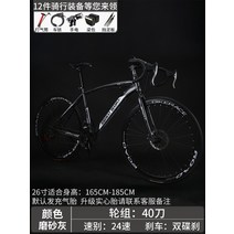 언노운픽시 자전거 입문용 픽시 남성용 알루미늄 자전거, [던  24단] 스포크 휠 40프로스트 그레이