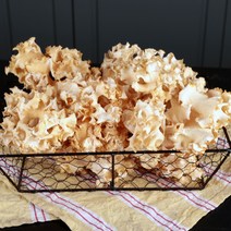 GAP인증 꽃송이버섯 100g, 1개, 100g_건조