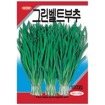 부추 씨앗 (1000립) - 텃밭 종자 쌈채소 키우기, 단품