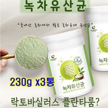 식물성 유산균 판토텐산칼슘 김치 람노스 온가족 락토바실러스 플란타룸 퍼벤텀 비피덤 람노수스 플란타 유산균 녹차 유산균 230g 3병