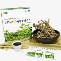 강화약초 강화사자발쑥 진액 건강즙 100ml 120개 [2박스], 3박스