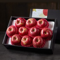 진성비엔씨(FRESH) [맛딜]프리미엄 사과 선물세트 4.3kg (대과) 10-12과, 즉시출고