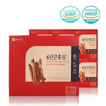 6년근 고려 홍삼정 스틱 진액 컴파운드케이 발효 제품 선물 세트, 1박스, 4. 종근당 6년근 홍삼액 60포 80ml