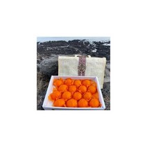 탠저린포유 한라봉 3KG 5KG 귤 천혜향, 3KG_가정용