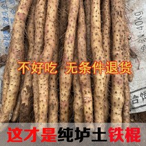 아이언트 프레쉬 골프그립 양토 산약 주렁주렁하남 얌 회산