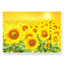 럭키 해바라기액자 크리스탈