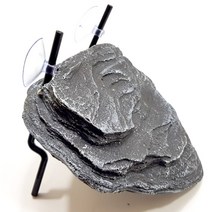 뉴런 거북이육지 거북이쉽터 소사이즈, 1개, 50g