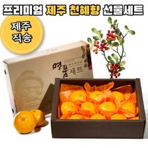 제주 천혜향 선물세트 22년 설 선물 제주도 프리미엄 천혜향 2kg 3kg 5kg, 3kg 중과(10-16과 내외)
