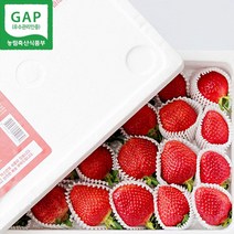 옳음 GAP 인증 고당도 논산 설향 딸기 산지직송 900g 1박스, 설향/프리미엄(3호)/24구/900g/일반포장