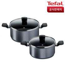 테팔 홈 쿡 인덕션 냄비 세트 2개, 그레이, 양수 20cm + 24cm