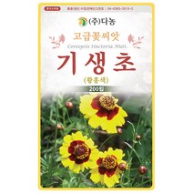 대엽 민들레 1000립 - 야생화 씨앗 꽃씨 씨 꽃씨앗 야생화씨앗 고급꽃씨 고급꽃씨앗 민들레씨 민들레씨앗, 02_다농_기생초(황홍색)(200립)