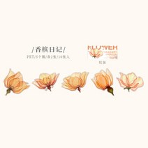 빈티지스티커 다이어리 캐리어 노트북 스티커 빈티지 팩 꾸미기 빈티지 대형 식물 애완 동물 방수 스티커, 06 F