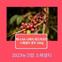 [커피생두]2023뉴크랍 케냐 AA 레드마운틴 스페셜티 300g