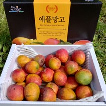 제주농부 산지직송 고당도 제주 미니애플망고1.5kg (13~20입), 단품