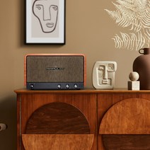 브리츠 AirPulse P100X 프리미엄 블루투스 스피커